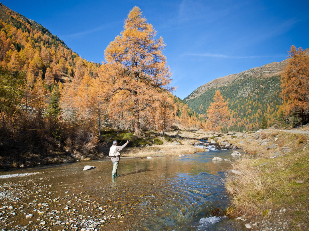 Naturhotel Tandler主图