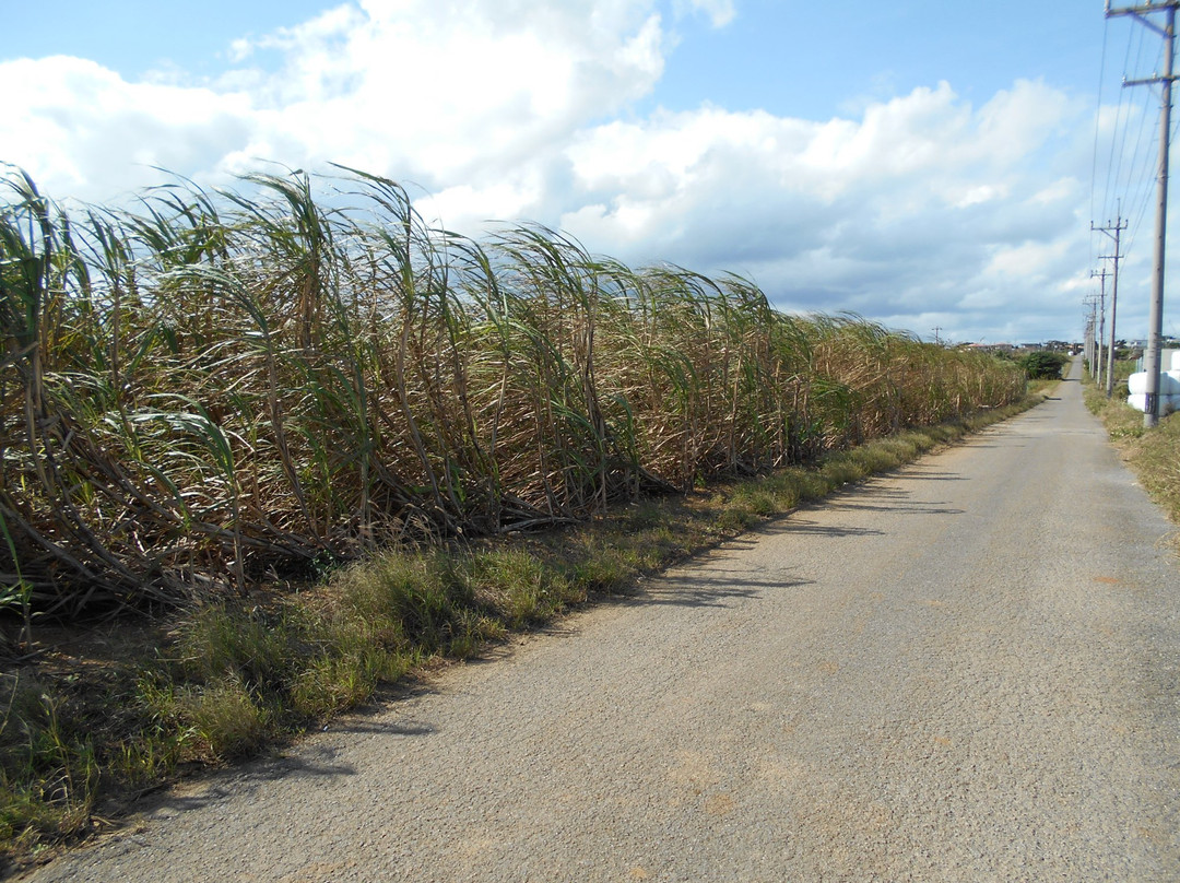 Sugar Road景点图片