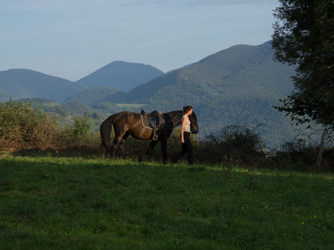 Ferme équestre Cheval en Hautes Pyrénées景点图片
