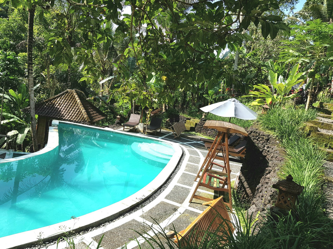 Song Broek Jungle Resort主图