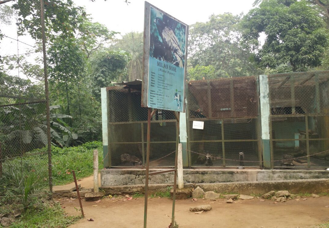 Zoo Nationale d'Abidjan景点图片