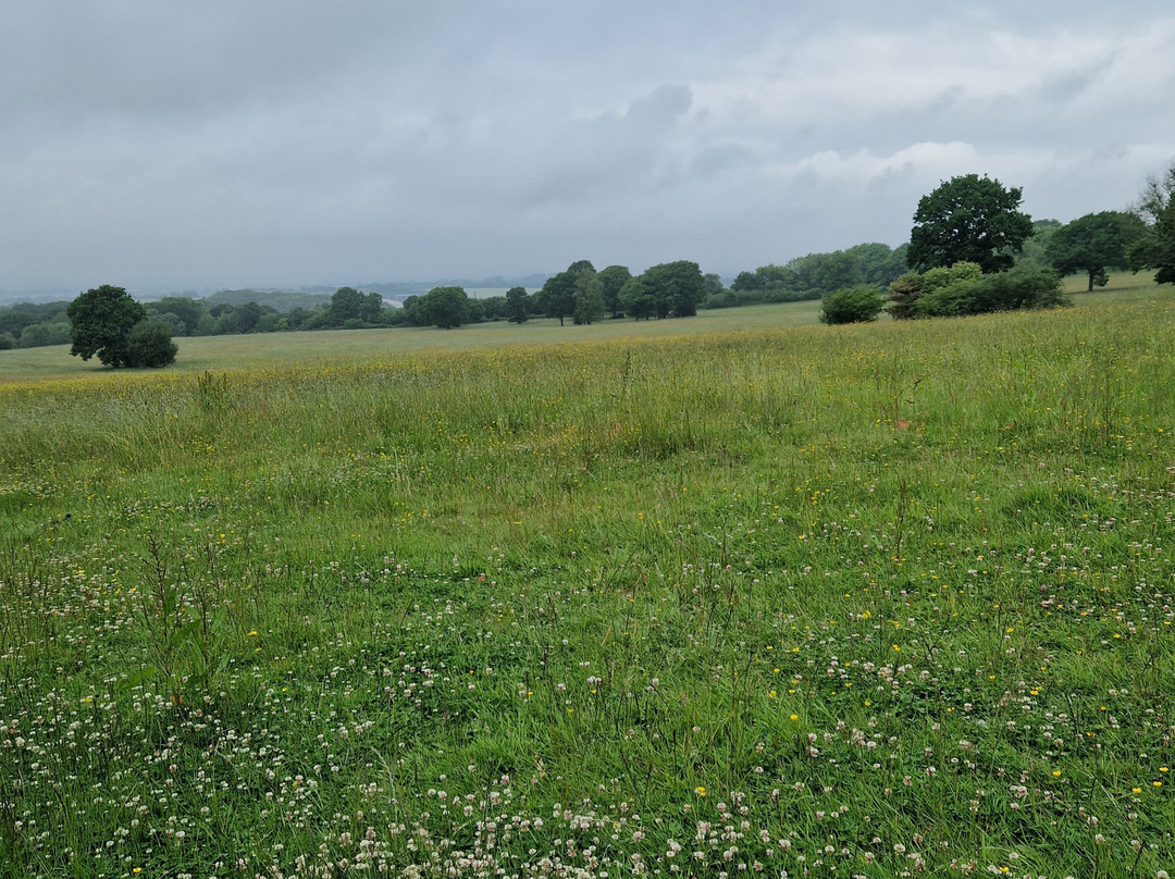 Woodbury Woods
