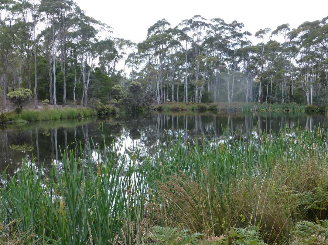 Peter Murrell Nature Reserve景点图片