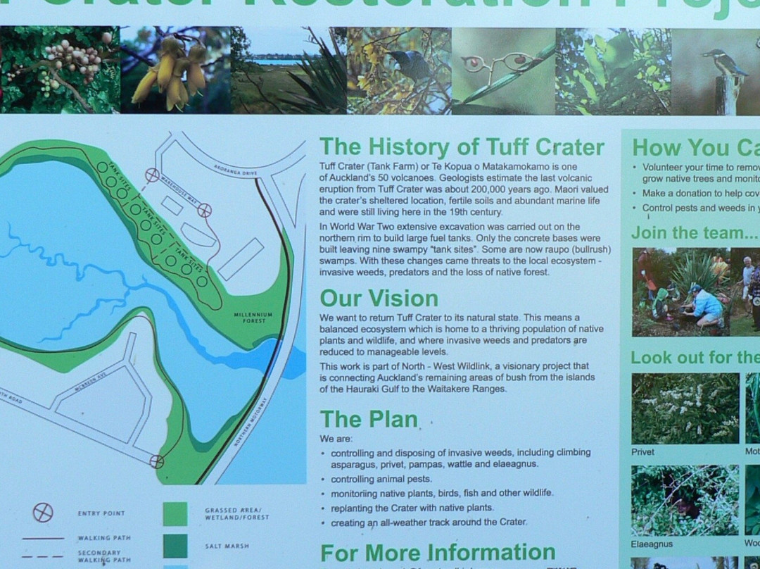 Tuff Crater Reserve景点图片