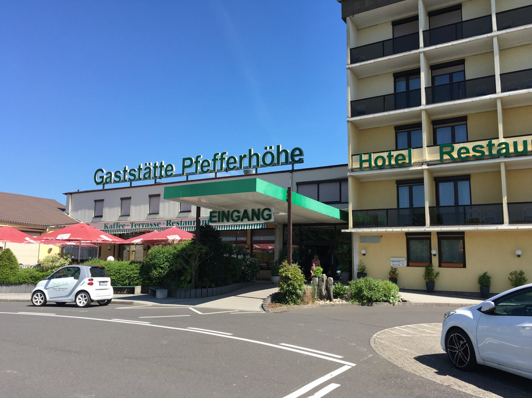 Alsfeld旅游攻略图片