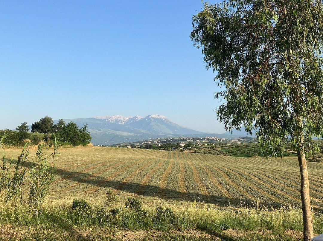 Glamping Abruzzo - the Yurt