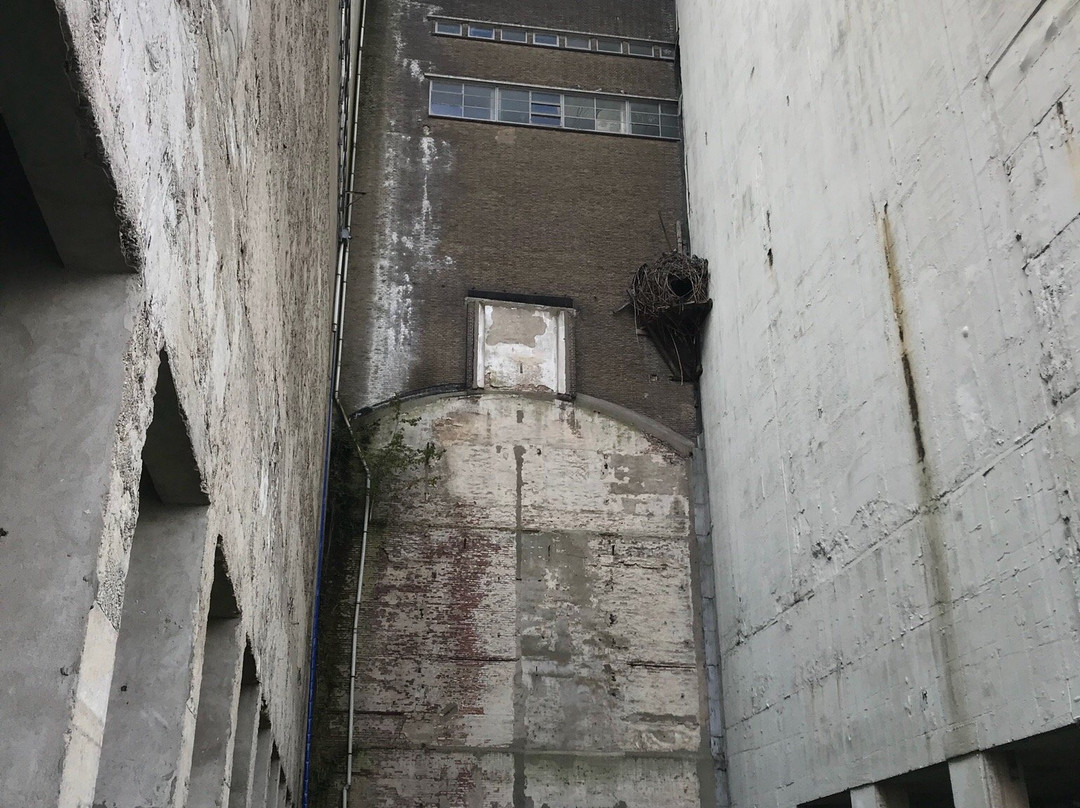 EscapeRoom-Leiden Meelfabriek-莱顿必去景点