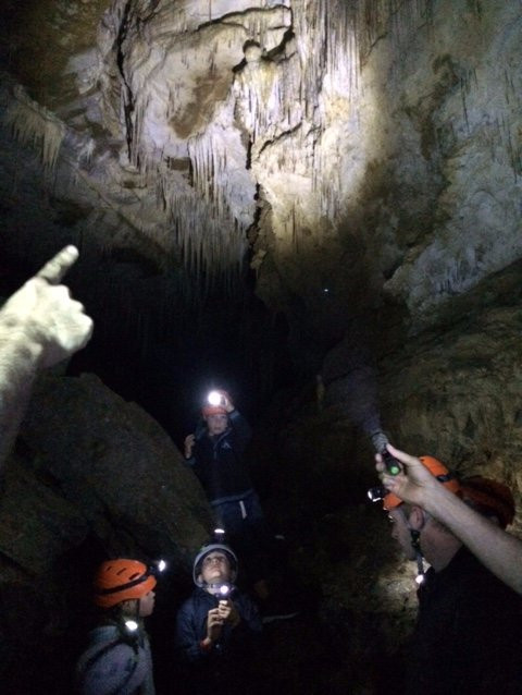 Adventure Waikato-怀卡托地区必去景点