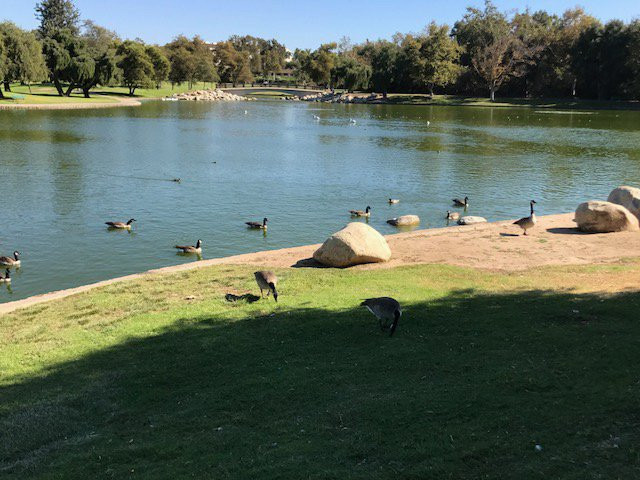 威廉梅森地区公园-尔湾必去景点