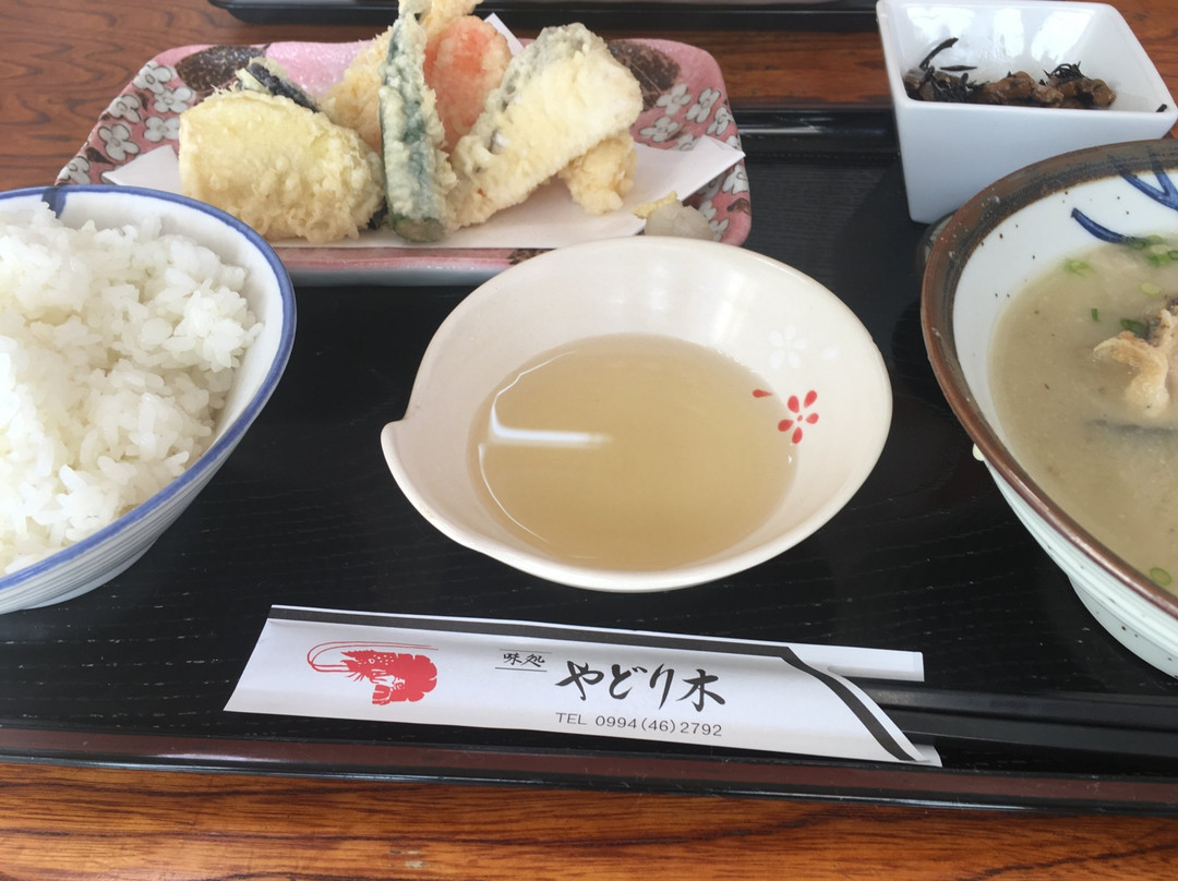 やどり木