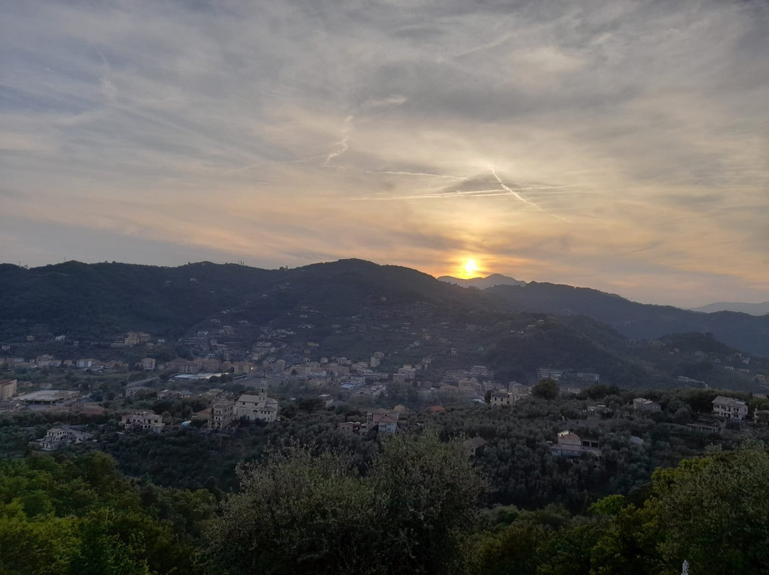La Gatta Sul Sentiero