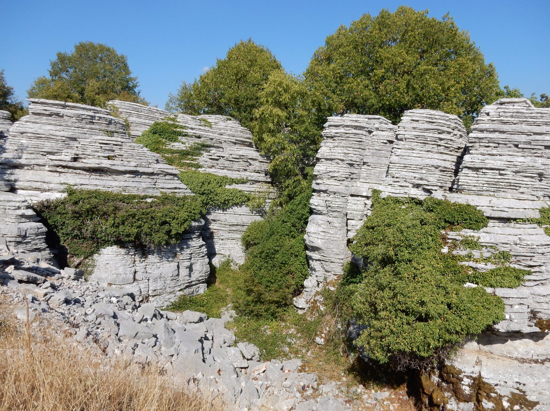 Stone Forest景点图片