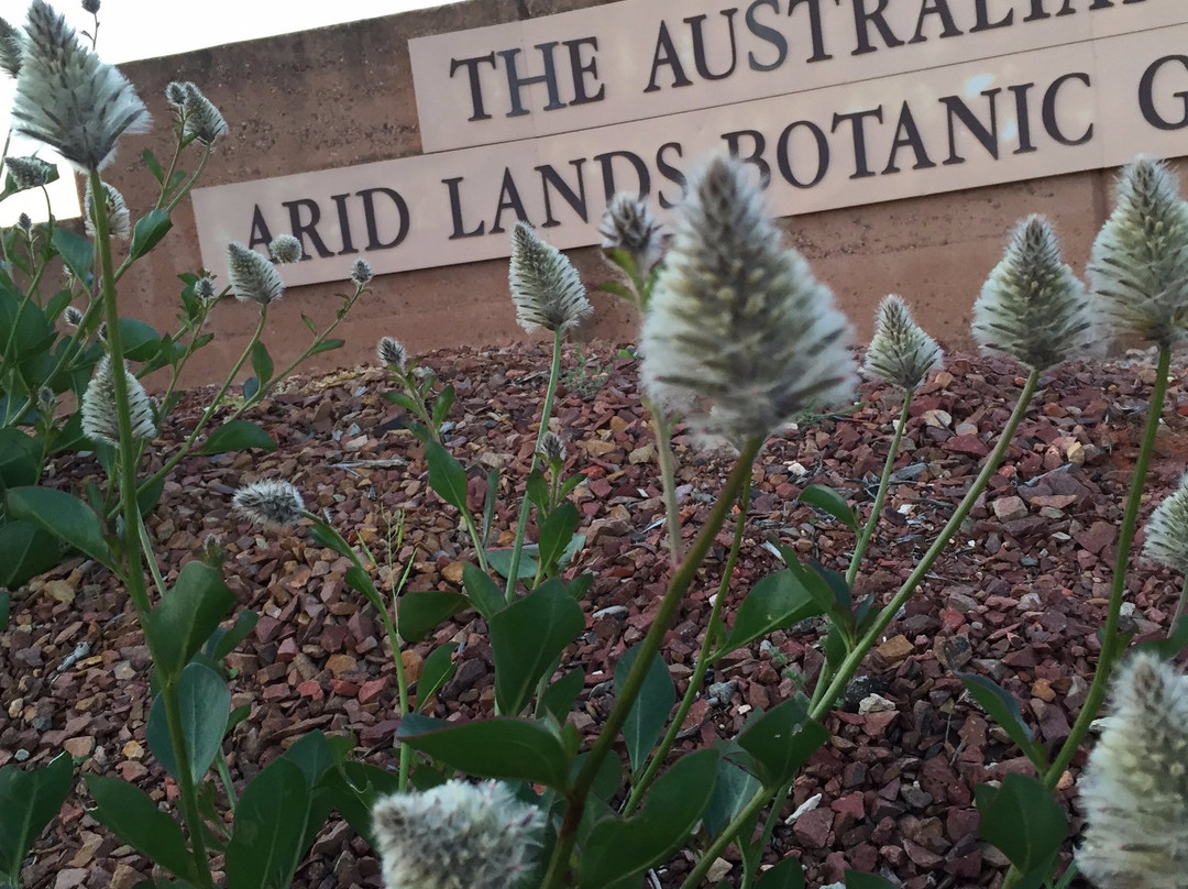 Australian Arid Lands Botanic Garden-Port Augusta必去景点