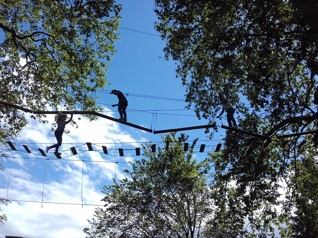 Les Aventuriers De St Jean Parc Aventure景点图片