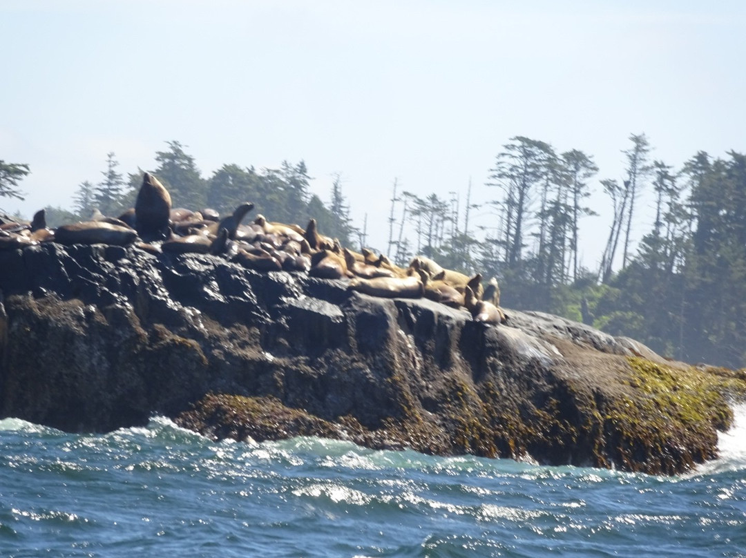 k'awat'si Tours-哈迪港必去景点