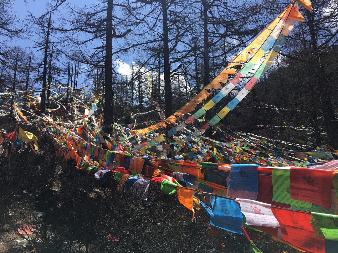 冲古寺景点图片