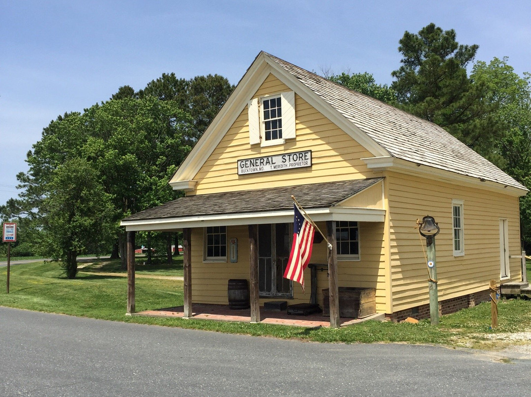 Harriet Tubman Birthplace Marker景点图片