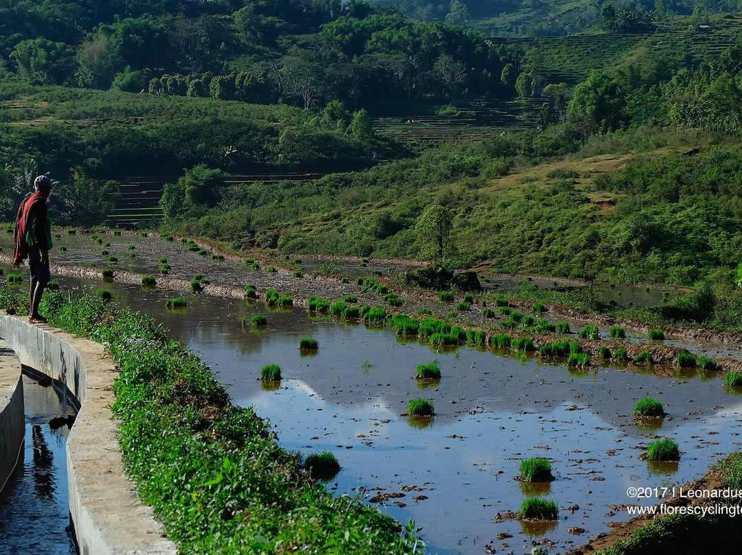 Flores Cycling Tours-Ruteng必去景点