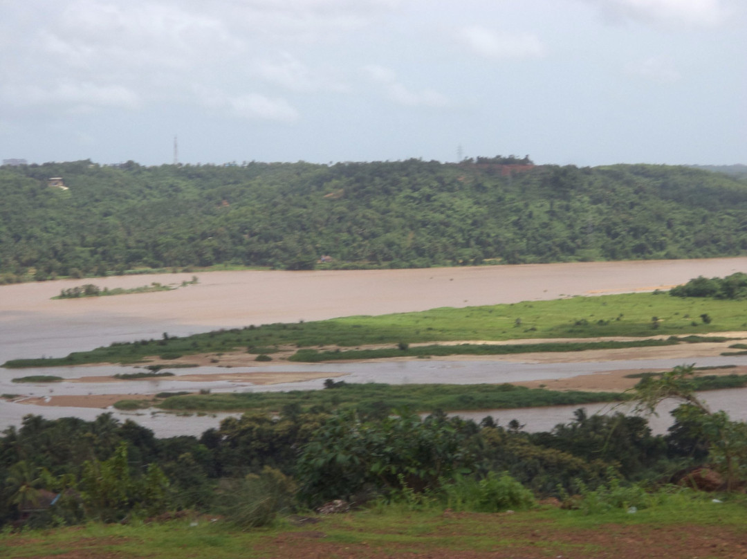 Adyar Waterfalls景点图片