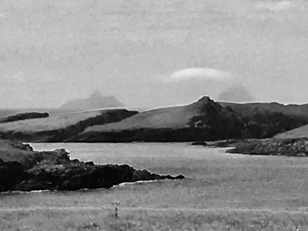 Walsh Taxi-基拉尼必去景点