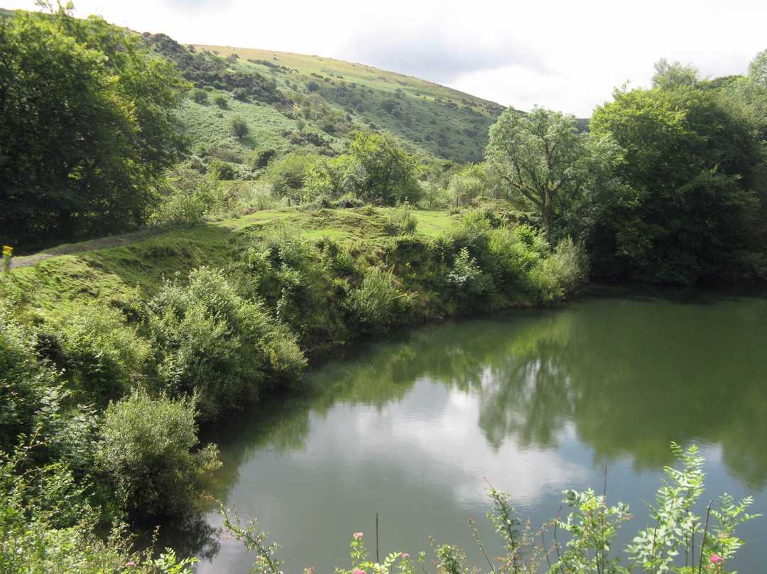 Meldon Viaduct景点图片