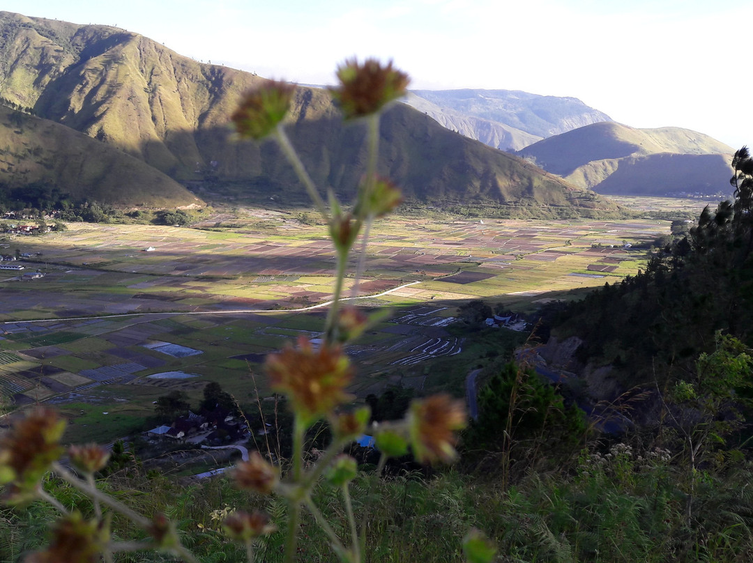 Samosir Tourist Information Centre-Pangururan必去景点