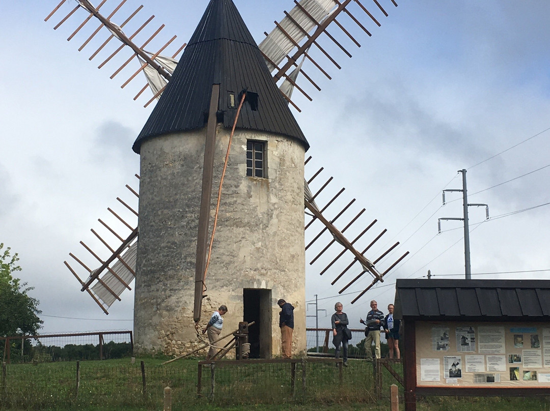 Moulin de Vensac景点图片