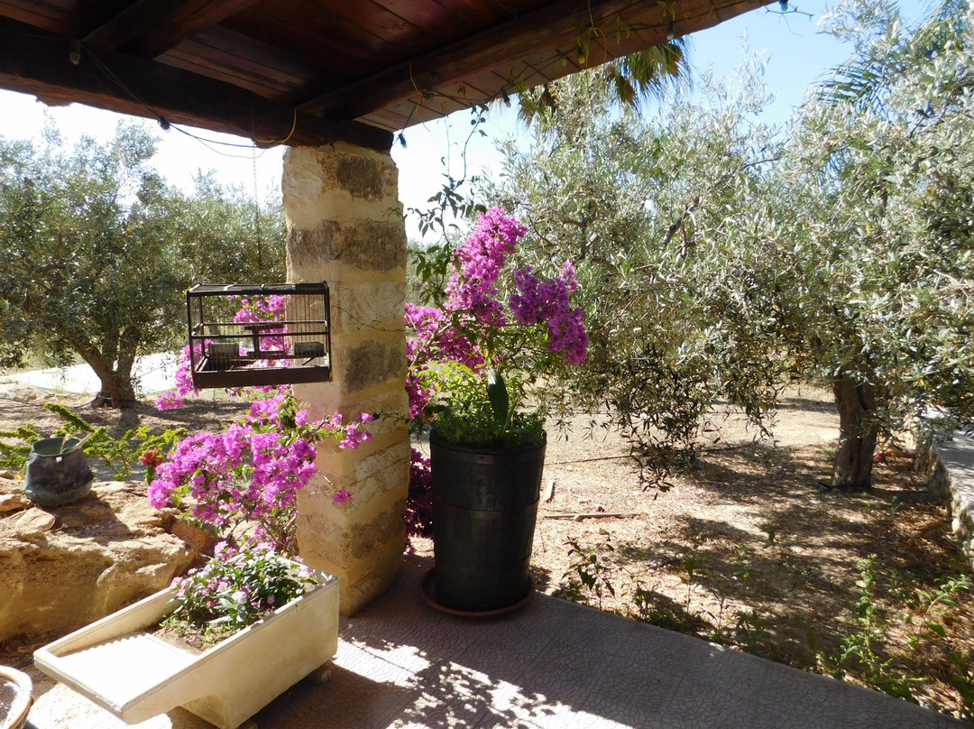 Agriturismo Case Sgaraglino