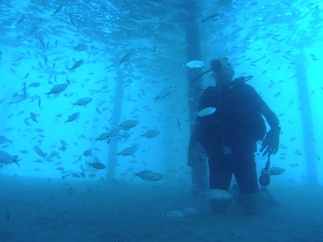 Didim Diving-迪迪姆必去景点