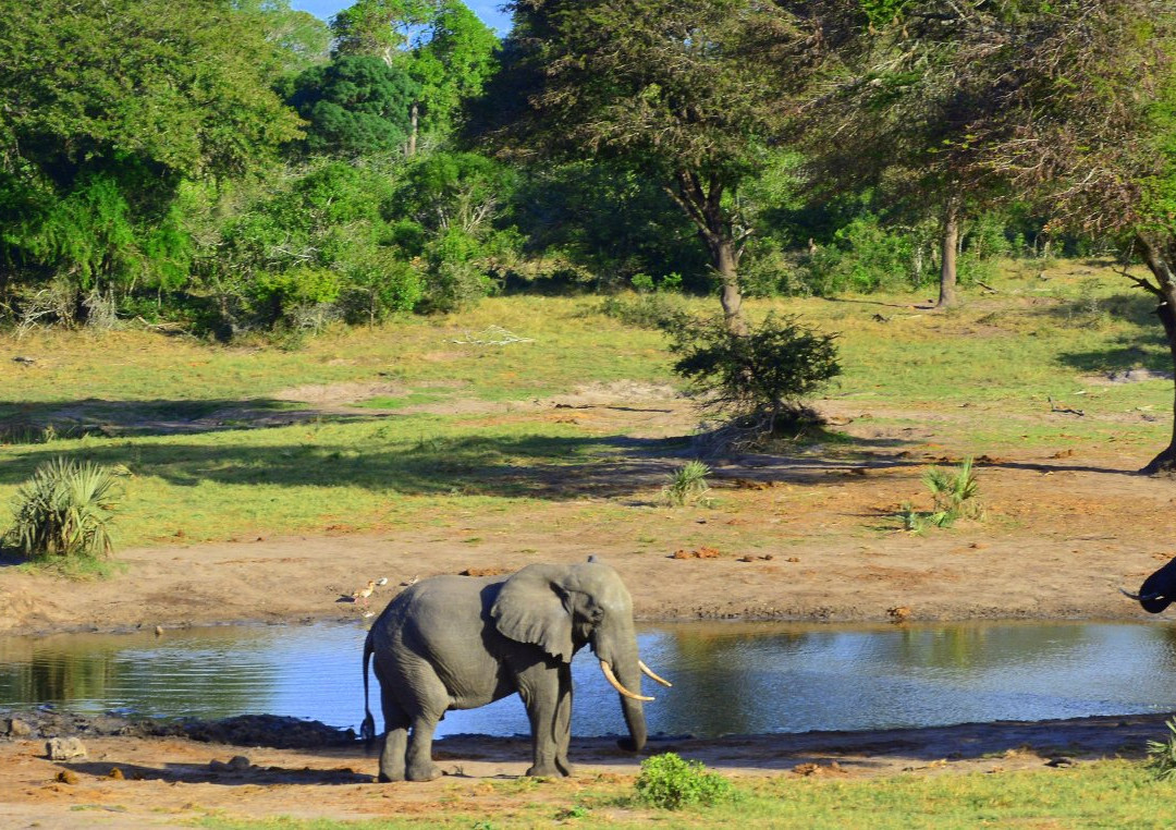 J and K Safaris-圣露西亚必去景点