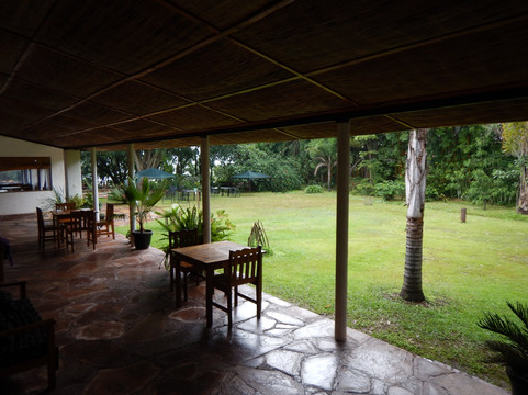 Thorn Tree Guest House主图