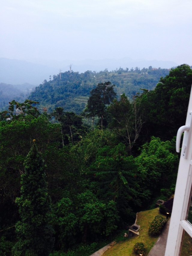 Bukit Tinggi Resort Golf Club-酒店景观