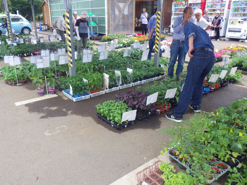 寒川町旅游景点-Waiwaiichi Samukawa
