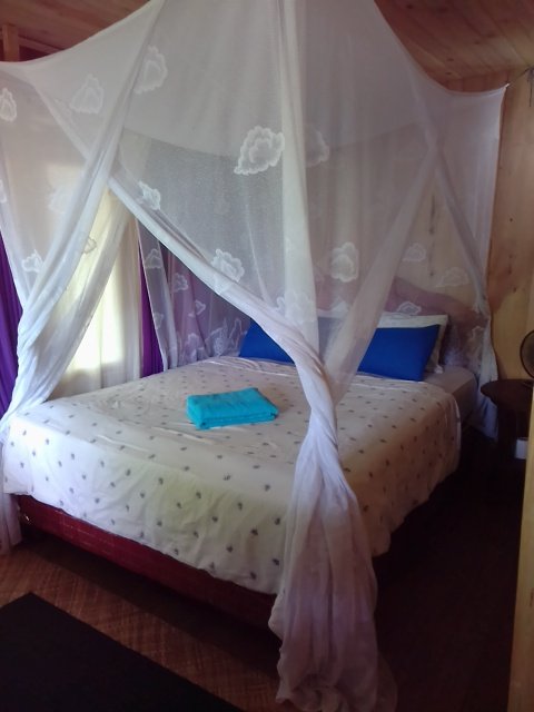 Rumah IZZI-官方