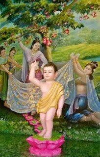 Poson Festival景点图片