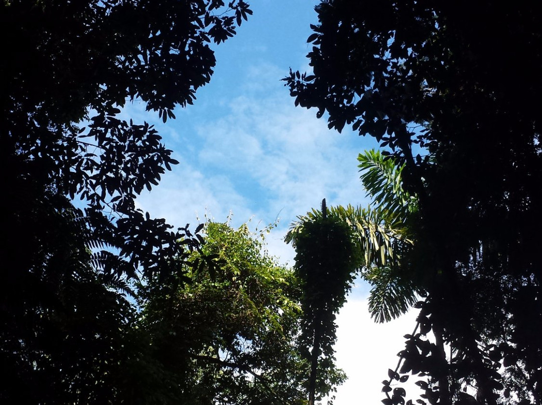 Carrasco National Park-科恰班巴必去景点