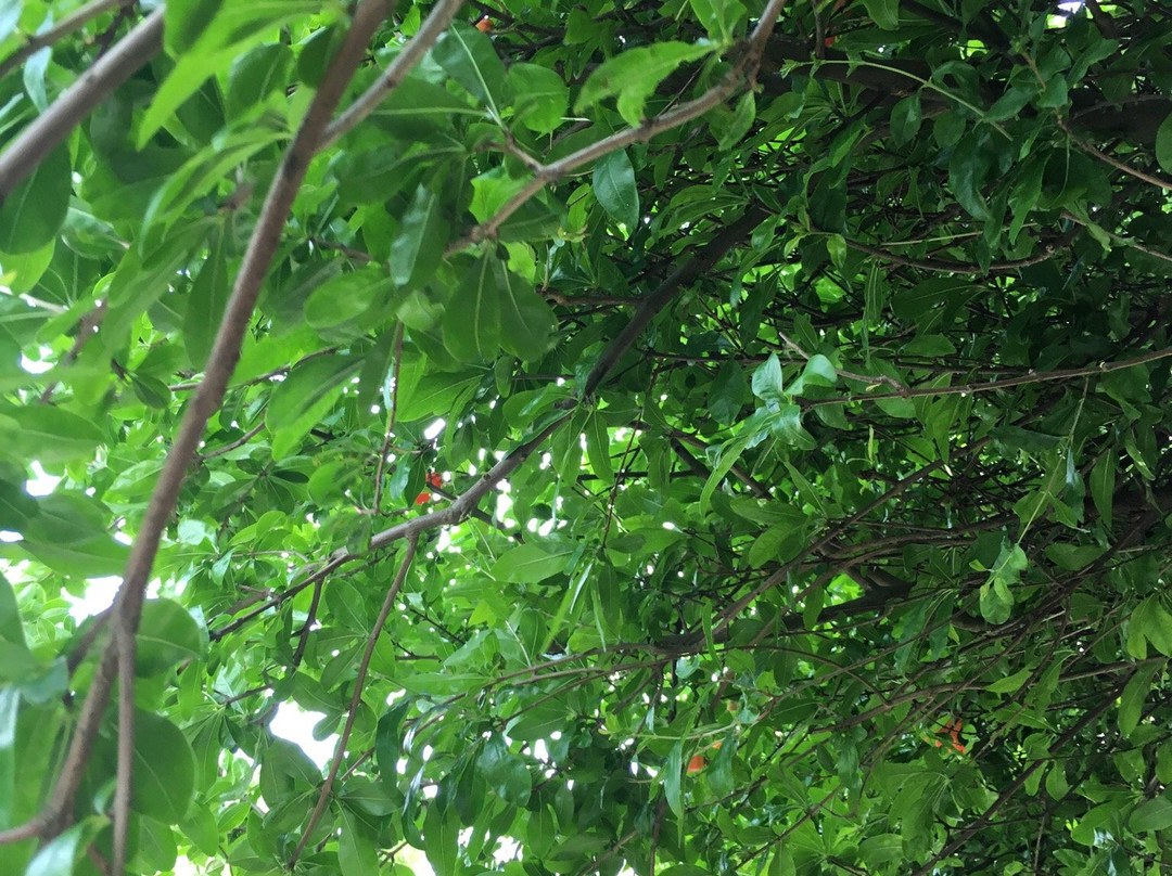 小东江-资兴市必去景点