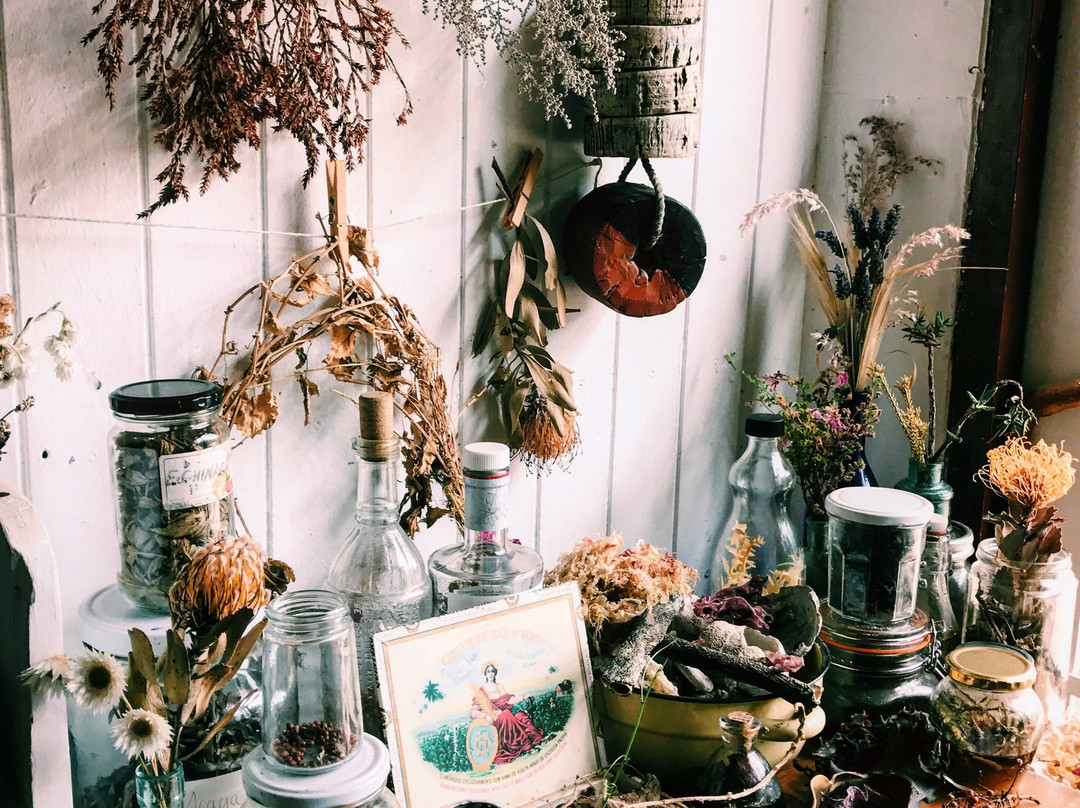 Veld and Sea-Cape Point必去景点