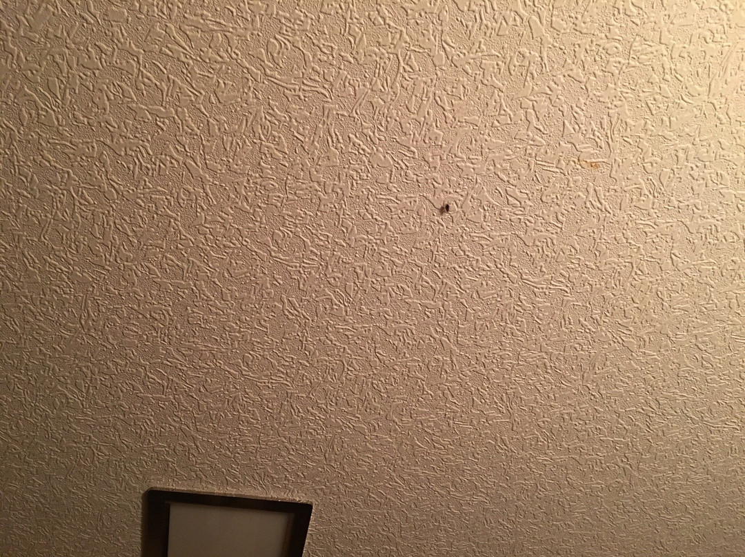 Hostel Severodonetsk