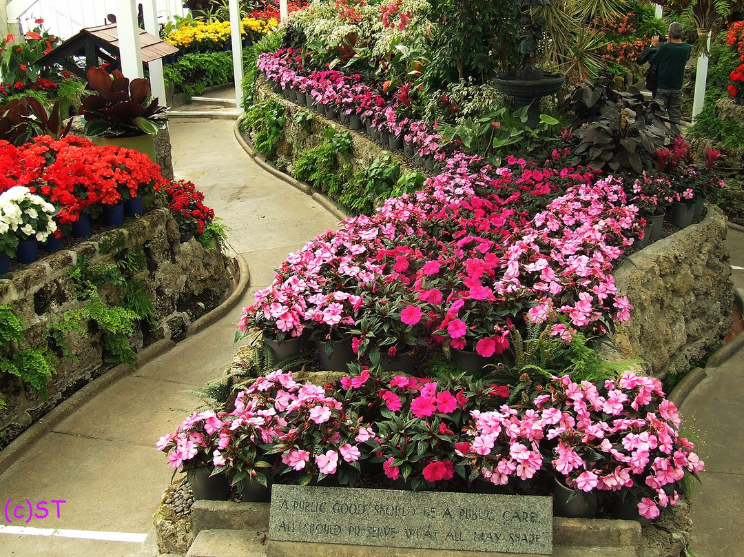 Wanganui Winter Garden景点图片