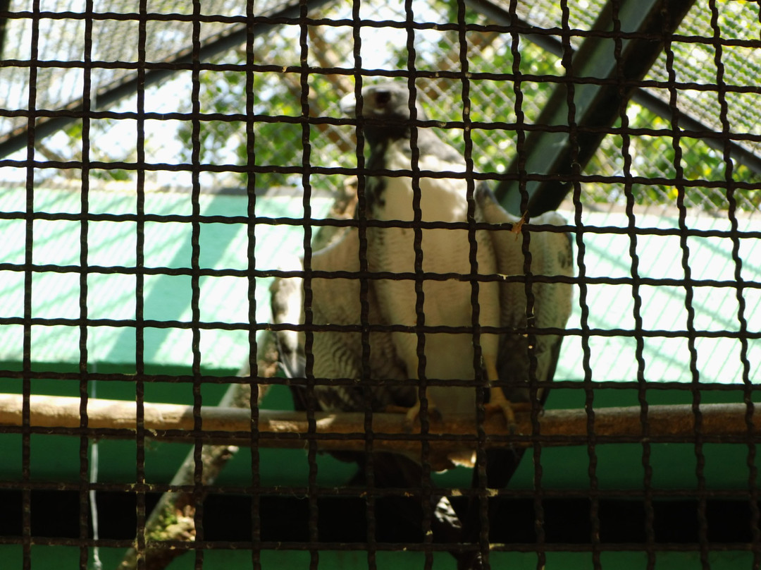 Parque Zoologico La Guaricha景点图片