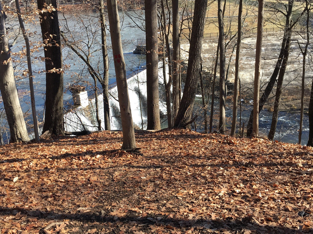 Lake Solitude Dam and Waterfall景点图片