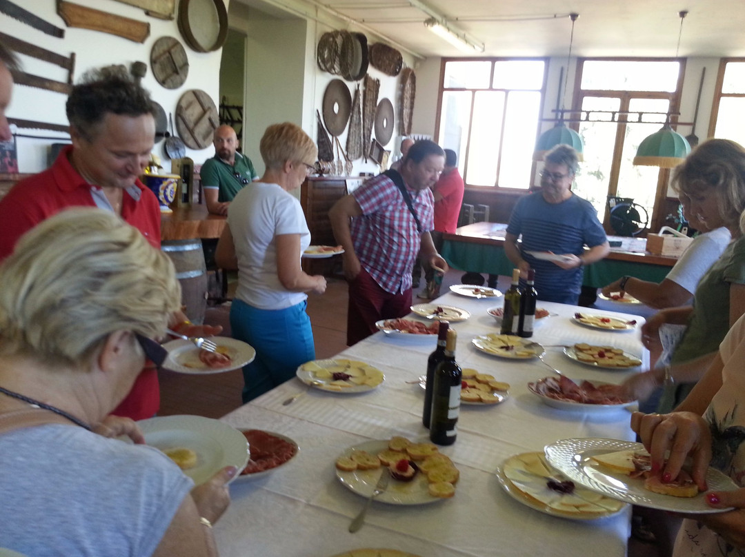 Eco Wine Tour in Tuscany景点图片