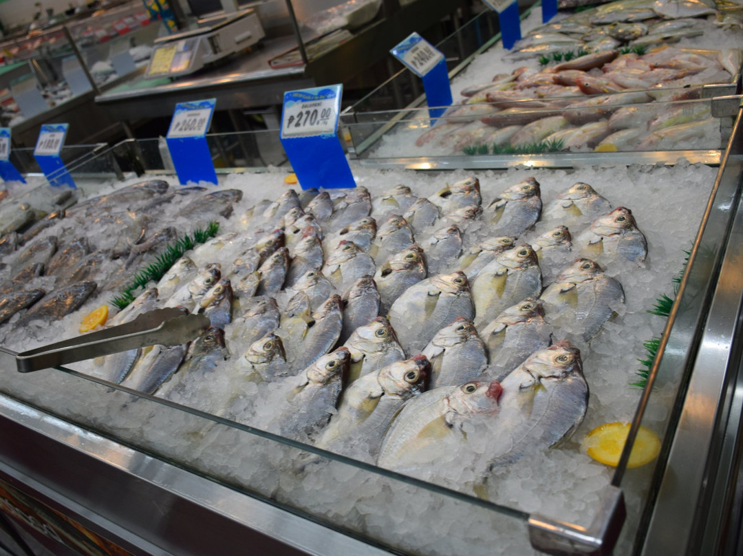 Robinsons Place Roxas-罗哈斯城必去景点