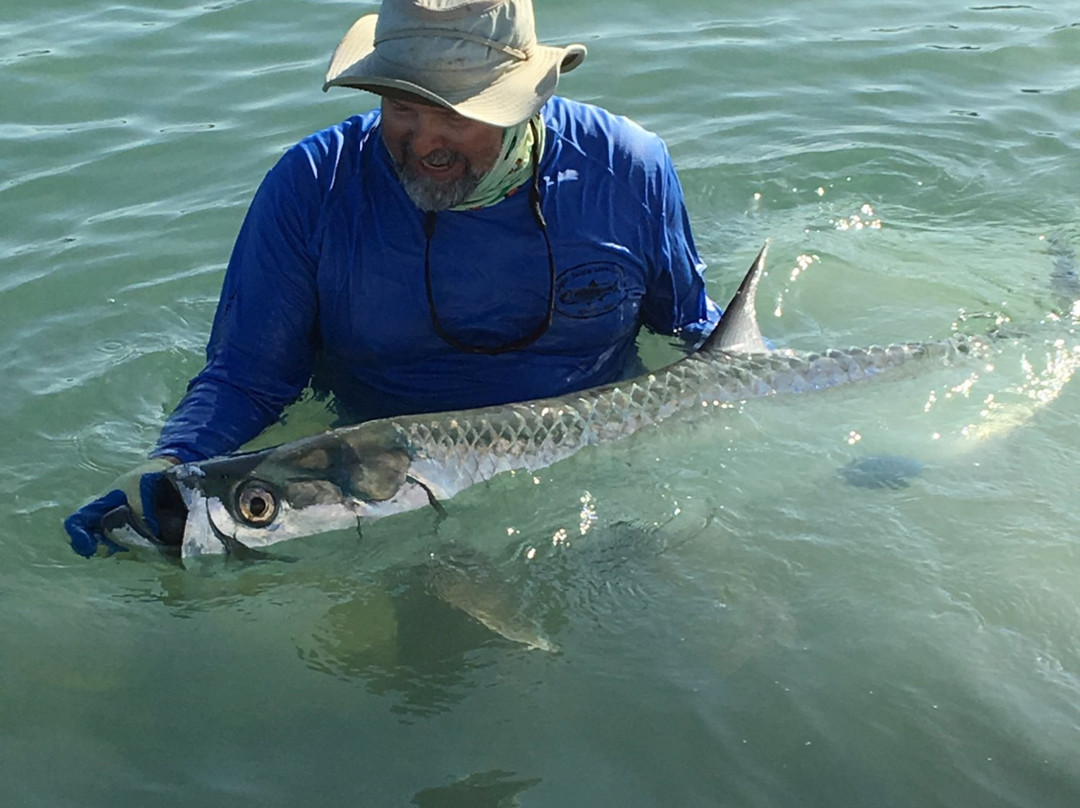 Light Tackle Adventure Tarpon Fishing-Cabo Rojo必去景点