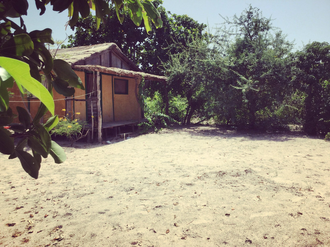 Bonobo Lodge