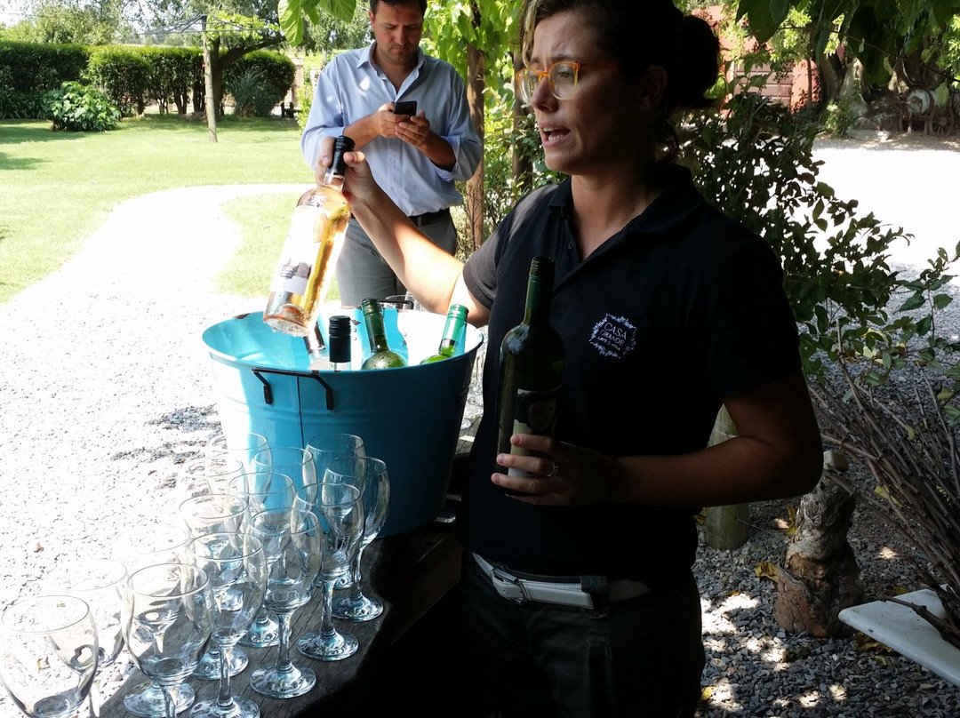 Bodega Garaje Casa Grande景点图片