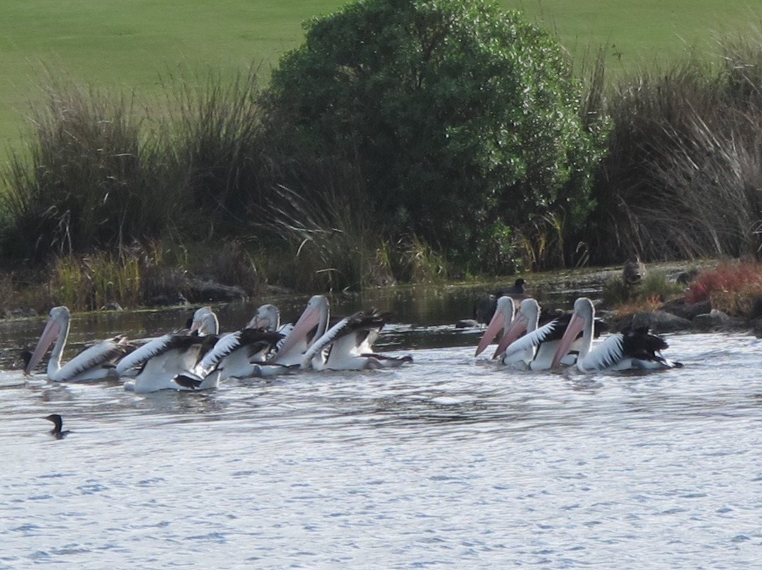Sanctuary Lakes Golf Club景点图片
