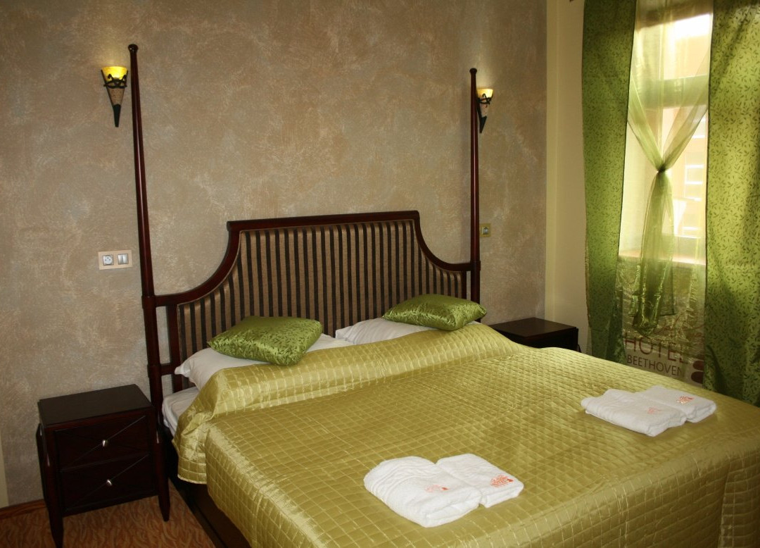 Wellness Hotel Beethoven主图