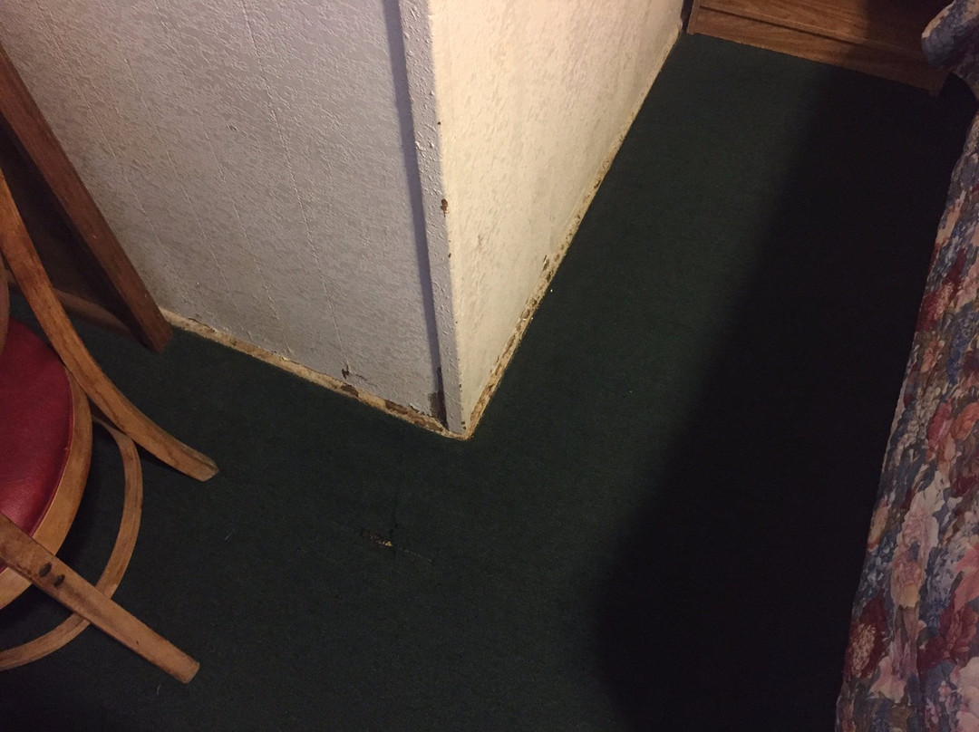 California Motel主图